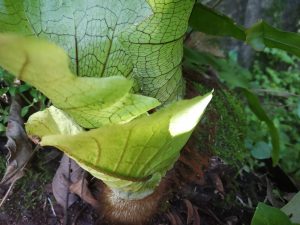 img_20190921_144043
