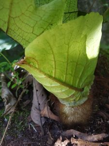 img_20190921_144047